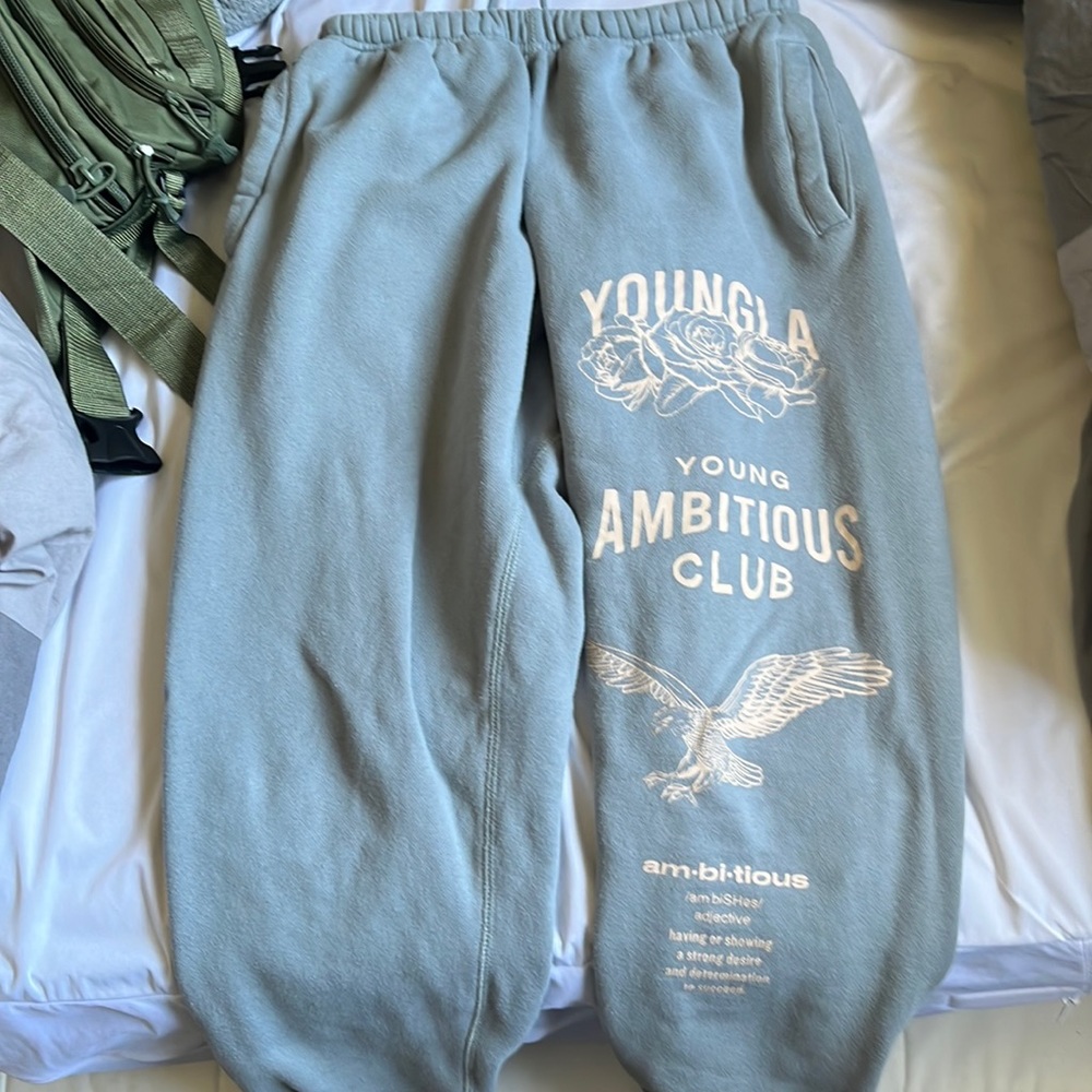 Youngla immortal joggers- gray small